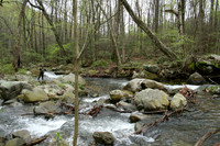 Rapidan River_006