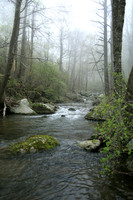 Rapidan River_017