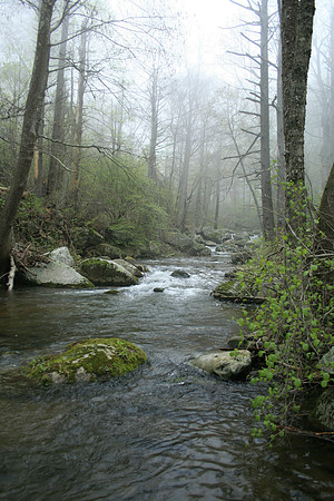 Rapidan River_017