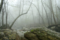 Rapidan River_025