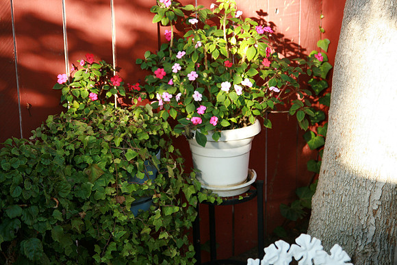 GardenParty_0073