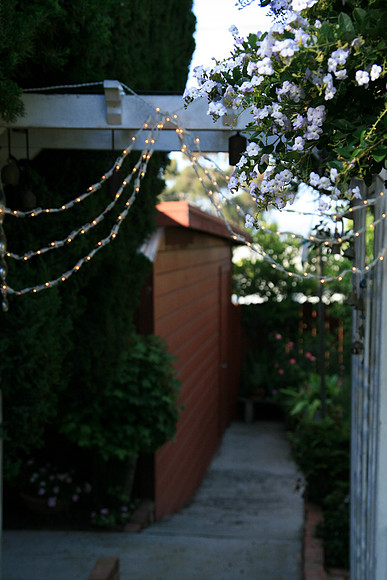 GardenParty_0042