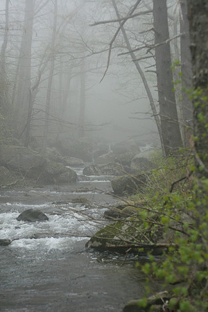 Rapidan River_027