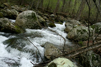 Rapidan River_009