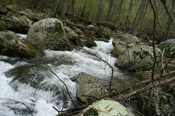 Rapidan River_009