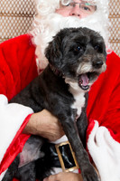 WoofGangChristmas-33