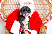 WoofGangChristmas-38