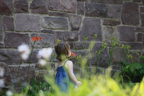 5D Mark II _MG_0336