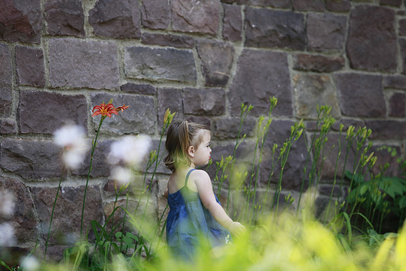5D Mark II _MG_0337