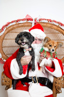 WoofGangChristmas-43