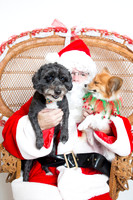 WoofGangChristmas-42