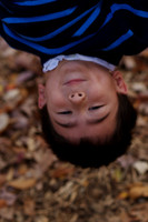 Melton_Fall08_002
