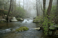 Rapidan River_020