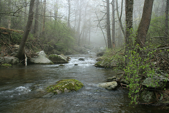Rapidan River_020