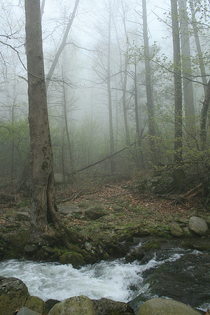 Rapidan River_022