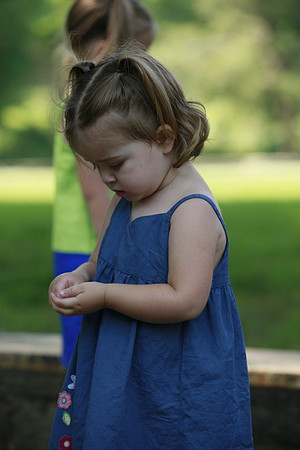 5D Mark II _MG_0546