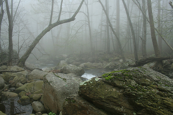 Rapidan River_021