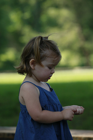 5D Mark II _MG_0543