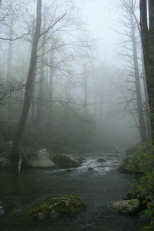 Rapidan River_023