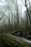 Rapidan River_018