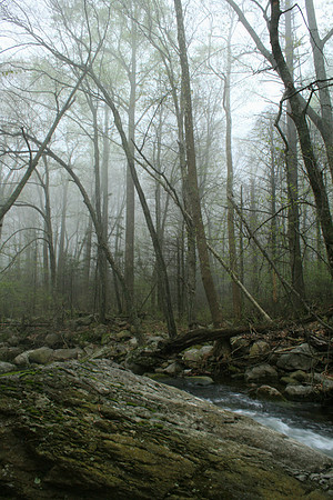 Rapidan River_018