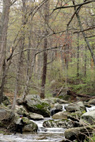 Rapidan River_013