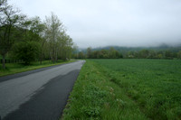 Road Side View