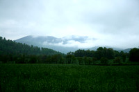Road Side View