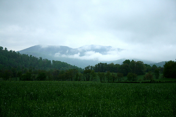 Road Side View
