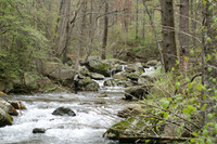 Rapidan River_011