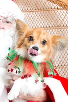 WoofGangChristmas-44