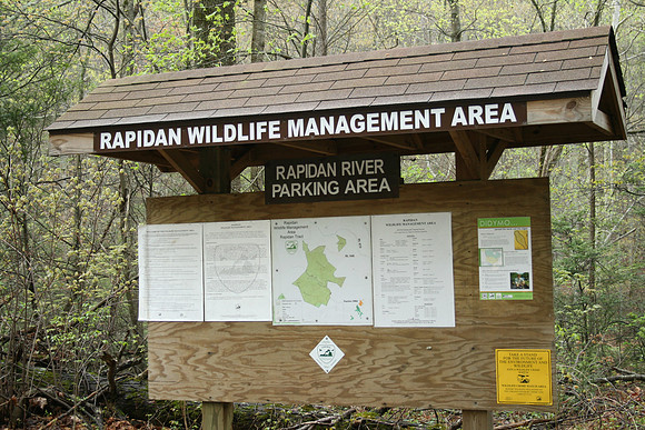 Rapidan River_005