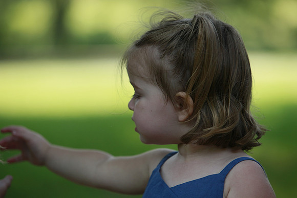 5D Mark II _MG_0550