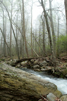 Rapidan River_019