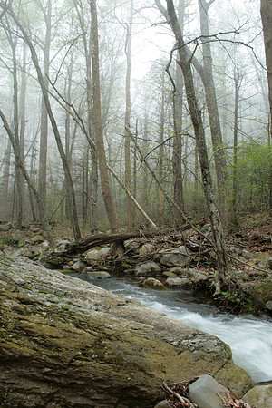 Rapidan River_019