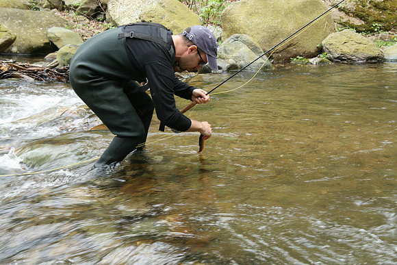 Rapidan River_034