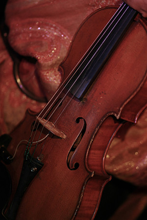 30D IMG_1784