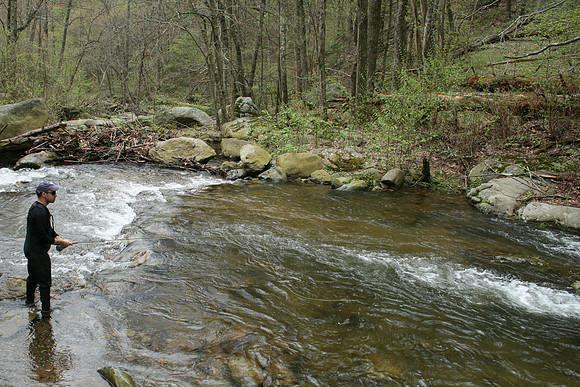 Rapidan River_031