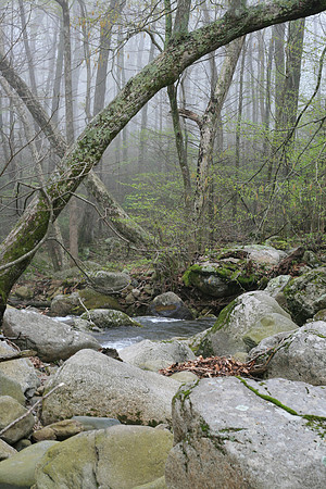 Rapidan River_016